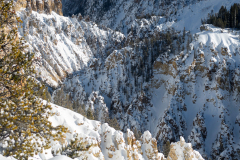 Yellowstone Canyon USA