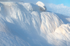 Canary Spring-Yellowstone USA