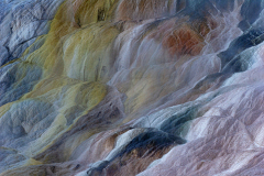 Living Colours Mammoth Spring-Yellowstone USA