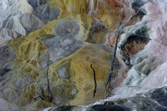 Living Colours Mammoth Spring-Yellowstone USA