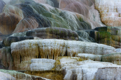 Mammoth Hot Spring-Palette-Spring Yellowstone USA