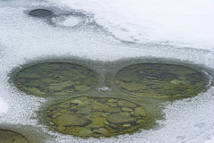 West Thumb Yellowstone USA