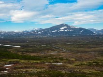 Dovrefjell Sunndalfjella National-park-Noorwegen-Norway-Norwegen