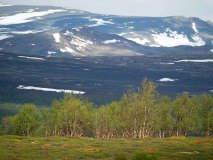 Dovrefjell Sunndalfjella National-park-Noorwegen-Norway-Norwegen