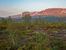Dovrefjell Sunndalfjella National-park-Noorwegen-Norway-Norwegen