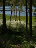 Landscape-Omne-Zweden-Sweden-Schweden