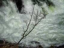 Rivier-River-Fluss-Driva-Magalaupe-Oppdal-Noorwegen-Norway-Norwegen