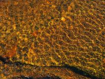 Rotsidan-Zweden-Sweden-Schweden