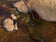 Rotsidan-Zweden-Sweden-Schweden