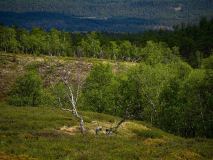 Vesl-hardbakken-Noorwegen-Norway-Norwegen