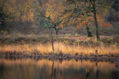 Hatertse vennen Gelderland