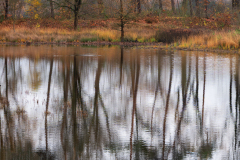 Hatertse vennen Gelderland