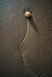 Stilleven-Still-life-Stilleben-Texel-Nederland-Netherlands-Niederlande