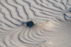 Loonse en Drunense duinen-Nederland-Netherlands-Niederlande