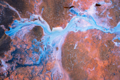 Kwelwater-Seep-Sumpfquelle-Nederland-Netherlands-Niederlande