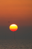 Waddenzee-Waddensea-Wattenmeer-Nederland-Netherlands-Niederlande