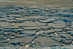 Kruiend ijs-Ice shove- Eisschub-Nederland-Netherlands-Niederlande