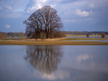 Langs de IJssel-Allong the river IJssel-Entlang des IJssel Flusses-Nederland-Netherlands-Niederlande