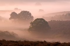 Posbank-Nederland-Netherlands-Niederlande