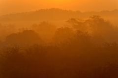 Amsterdamse waterleiding duinen-Nederland-Netherlands-Niederlande