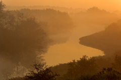 Amsterdamse waterleiding duinen-Nederland-Netherlands-Niederlande