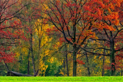 Zuid-Limburg-Nederland-Netherlands-Niederlande