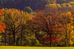Zuid-Limburg-Nederland-Netherlands-Niederlande