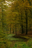 Beek op de Veluwe-Nederland-Netherlands-Niederlande