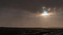 Vliegen in een sneeuwbui-Flying in a snowstorm-Fliegen im Schneesturm-Texel-Nederland-Netherlands-Niederlande
