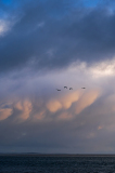 Wolken boven Vlieland- Clouds above Vlieland-Wolken über Vlieland-Texel-Nederland-Netherlands-Niederlande
