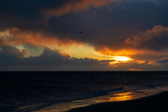 Zonsopkomst-Sunset-Sonneaufgang-Waddenzee-Waddensea-Wattenmeer-Texel-Nederland-Netherlands-Niederlande