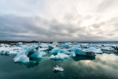 Fjallsarlon-IJsland-Iceland-Island