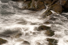 Holaholar-IJsland-Iceland-Island