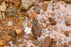 Landmanalaugar-IJsland-Iceland-Island