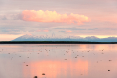 Myrar-IJsland-Iceland-Island