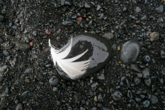 Vik-IJsland-Iceland-Island