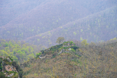 Spanje Spain Spanien 2025 Dick