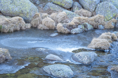 Sierra-de-Gredos
