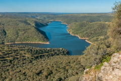 Guadalupe-Spanje-Spain-Spanien