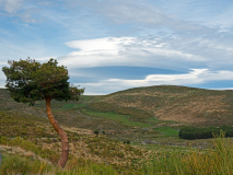 Sierra de Gredos-Spanje-Spain-Spanien
