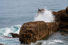 Bufones de Santiuste -Spanje-Spain-Spanien