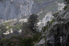 Pena-Crimienda-SpanjeSpain-Spanien