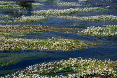 Rio Almonte Extremadura-Spanje-Spain-Spanien