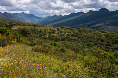 Sierra de Guadalupe-Spanje-Spain-Spanien