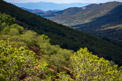 Sierra de Guadalupe-Spanje-Spain-Spanien