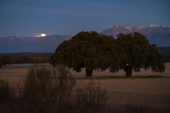 Sierra de Gredos Spain