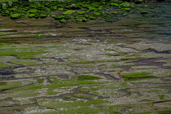 Kust-Coast-Küste- Zumaia Spain