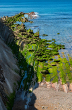 Kust-Coast-Küste- Zumaia Spain