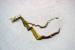 Playa de las Catedrales Spain