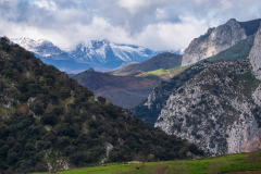 Picos de Europa Spain